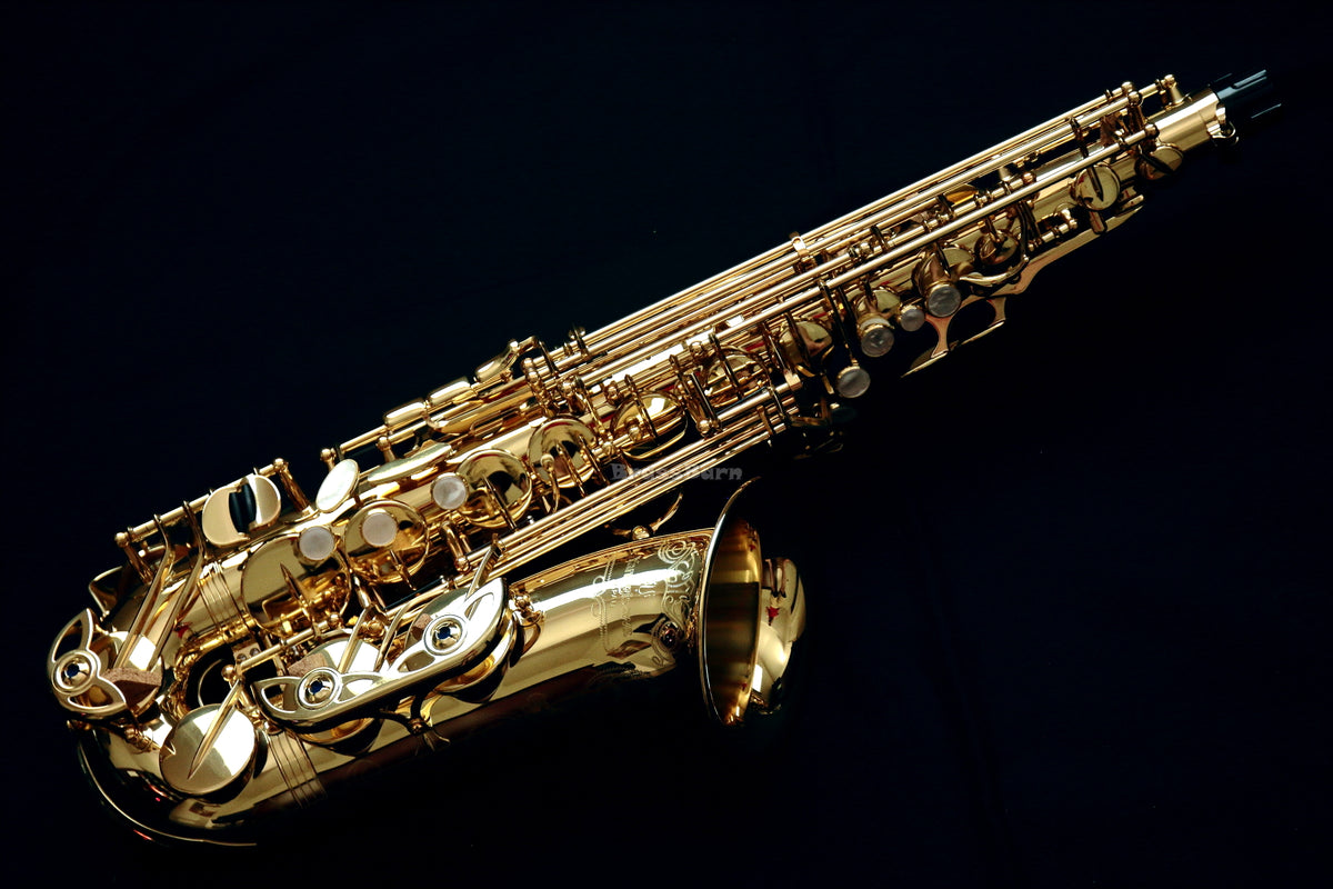 アンノウン Yanagisawa AWO10 Alto 397193 Excellent Condition Plays Great