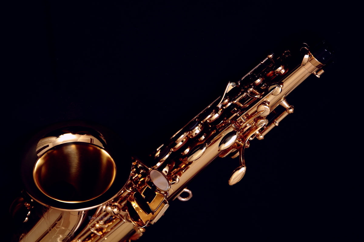 ぞうさん Yanagisawa SC-WO20 (SCWO20) Curved Elite Professional Soprano