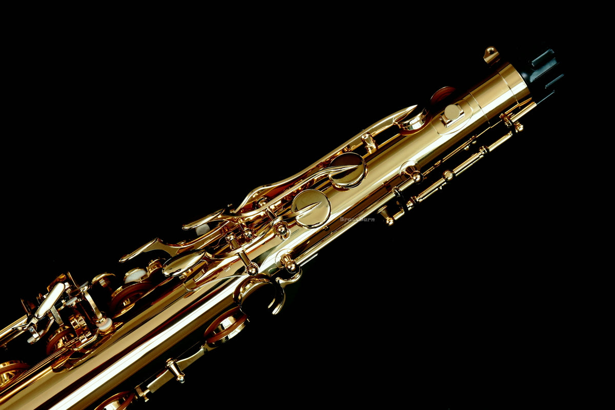 Yanagisawa T-WO10 (TWO10) Elite Professional Tenor Saxophone