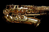 Open Box 2024 Yanagisawa A-WO10 (AWO10) Elite Professional Alto Saxophone