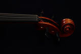 Yamaha AV7 SG Braviol Violin