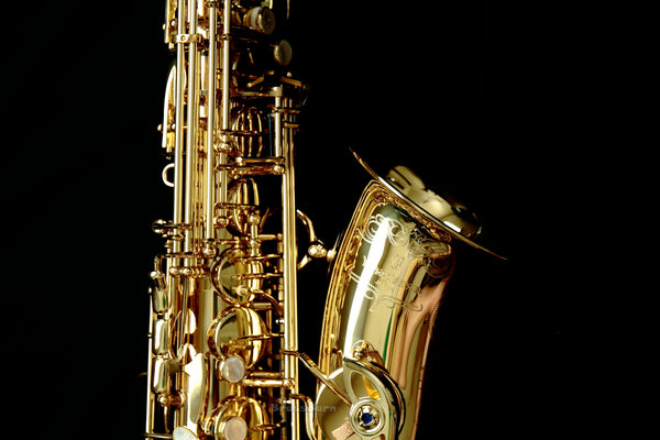 Yanagisawa shop wo10 alto