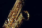 Yanagisawa A-WO10 (AWO10) Elite Professional Alto Saxophone