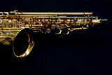 Yanagisawa A-WO10 (AWO10) Elite Professional Alto Saxophone