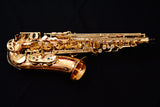 Yanagisawa A-WO20 (AWO20) Elite Professional Alto Saxophone
