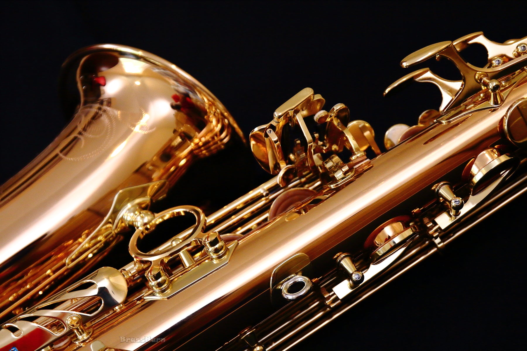 Yanagisawa A-WO20 (AWO20) Elite Professional Alto Saxophone