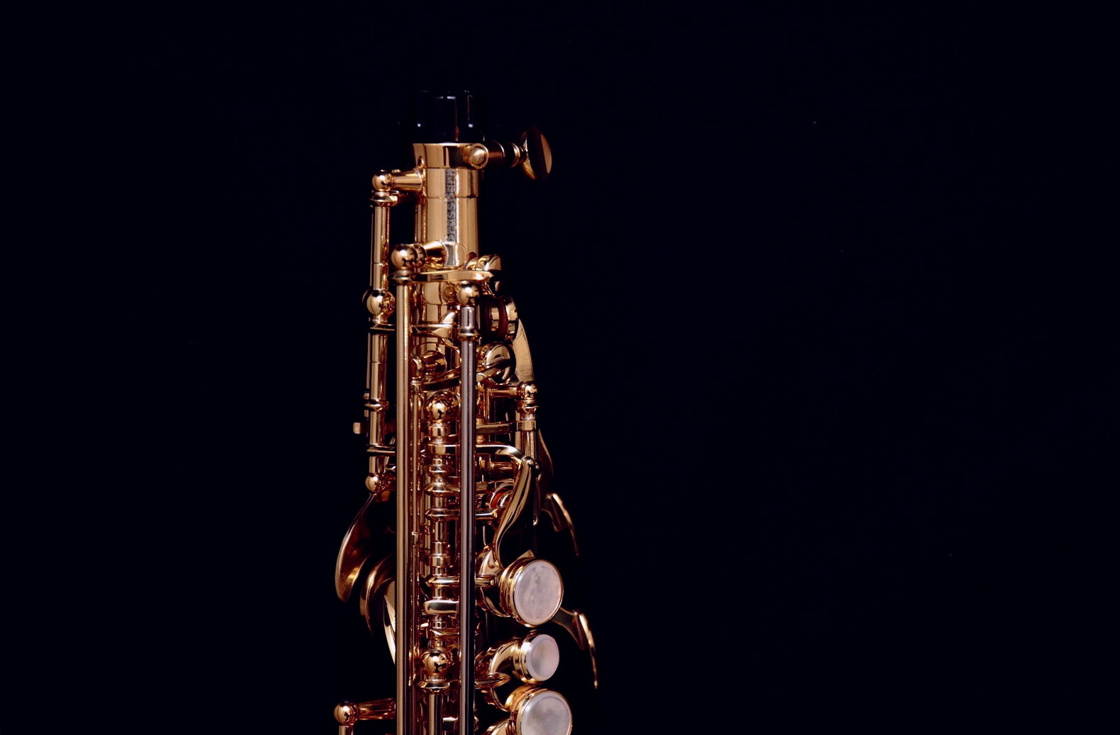 Yanagisawa SC-WO20 (SCWO20) Curved Elite Professional Soprano
