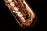 Yanagisawa T-WO20 (TWO20) Elite Professional Bronze Tenor Saxophone