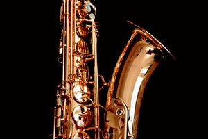 Yanagisawa T-WO20 (TWO20) Elite Professional Bronze Tenor Saxophone
