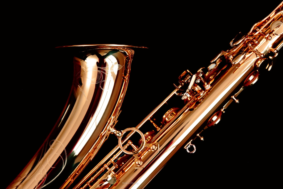 Yanagisawa T-WO20 (TWO20) Elite Professional Bronze Tenor Saxophone ...