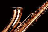 Yanagisawa T-WO20 (TWO20) Elite Professional Bronze Tenor Saxophone