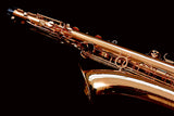Yanagisawa T-WO20 (TWO20) Elite Professional Bronze Tenor Saxophone
