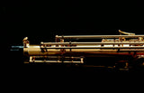 Yanagisawa T-WO10 (TWO10) Elite Professional Tenor Saxophone